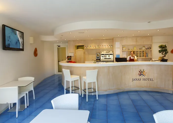 ヤナス ホテル 3*